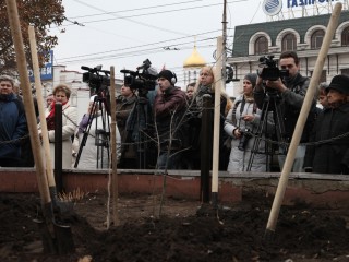 «Шаляпинский» дуб
