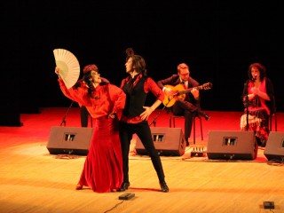 «Огонь и страсть El Tebi Flamenco»