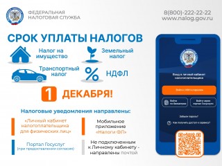 1 декабря - срок уплаты налогов