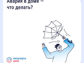 Приложение «Госуслуги Дом»