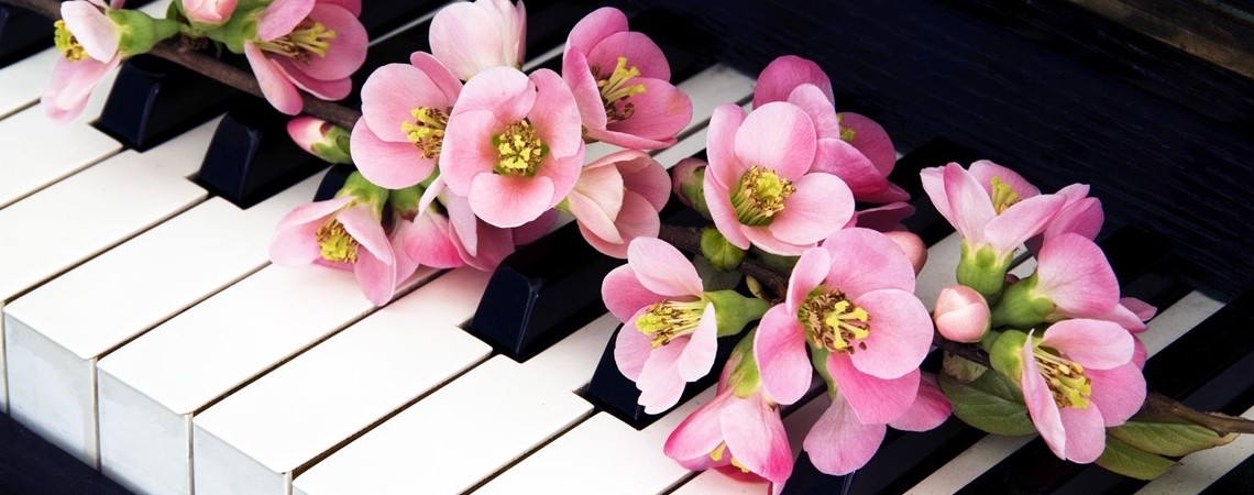 «Соловей мой, соловей…» 