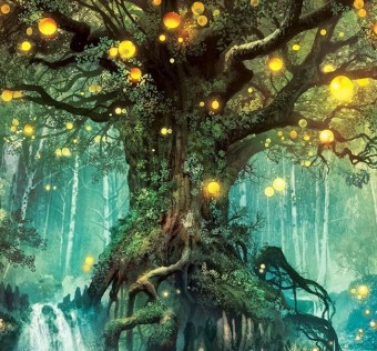 «Сказки Волшебного леса»
