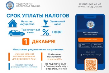 1 декабря - срок уплаты налогов