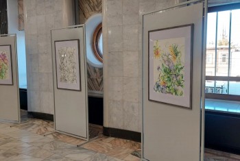 Выставка «Сплетения» Алексея Журавлёва